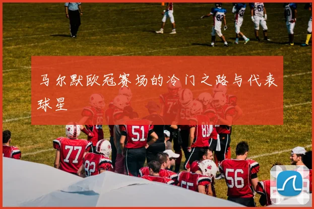 马尔默欧冠赛场的冷门之路与代表球星