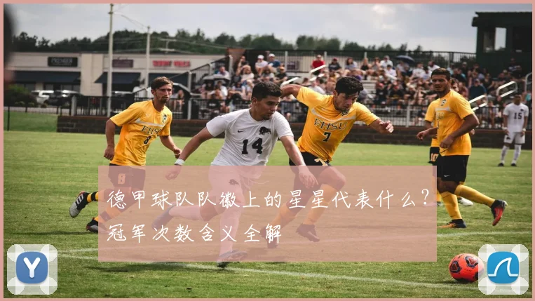 德甲球队队徽上的星星代表什么？冠军次数含义全解