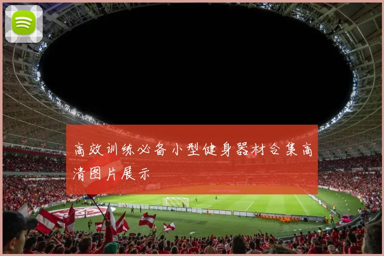 高效训练必备小型健身器材合集高清图片展示