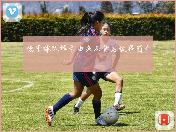 德甲球队绰号由来及背后故事简介