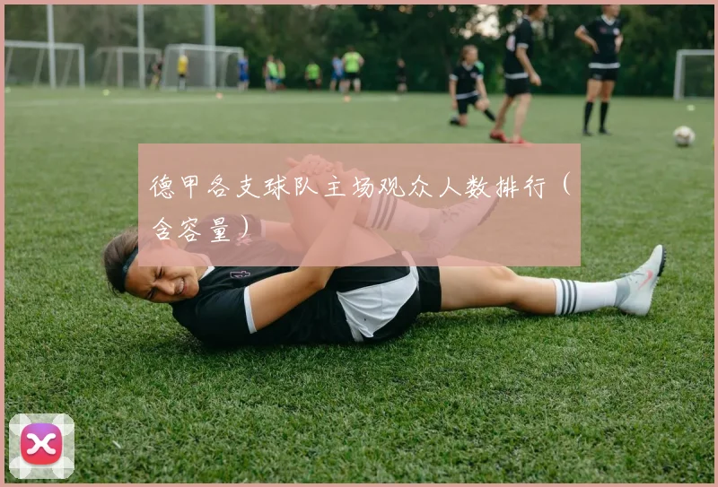 德甲各支球队主场观众人数排行（含容量）