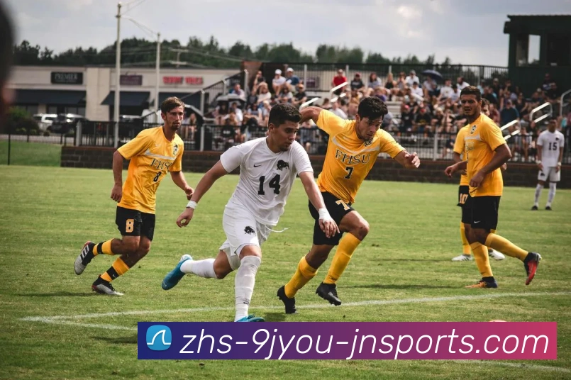 j9九游会平台生态图